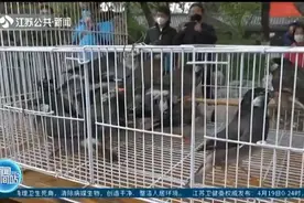 徐州民警和野生动物救助站人员进行放飞活动,让野生鸟儿回归自然!视频封面