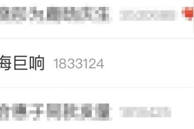 昨夜上海一声巨响，不是地震图片