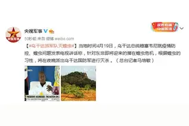 乌干达总统发表电视讲话：将在夜晚派出乌干达国防军灭杀蝗虫图片