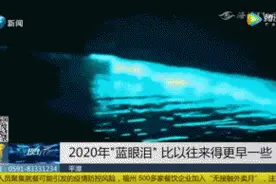 福建“蓝眼泪”刷屏，百万网友在线许愿图片
