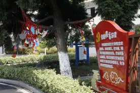 与春天重逢，和美好相约图片
