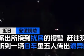 路边轿车晚上传出诡异笑声，民警凑近一查：车上5人全带走图片