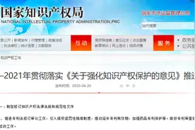 国家知识产权局：推进专利法修订审议工作，引入侵权惩罚性赔偿制度图片