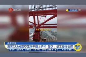 高空惊魂！河南游客388米高空荡秋千撞上护栏,景区：员工操作失误视频封面