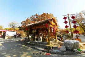 “五一”畅游莫尼山！畅游一次，免费一年！图片