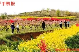 镇平手机报第483期图片