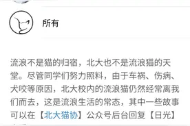 意外火爆！北大学霸为流浪猫打造小程序，崩了服务器图片