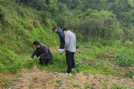 梅州平远开展禁种铲毒踏春，确保“零种植”排查与宣传同步到位图片