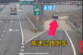 高速公路上倒车 车主以为“打开后备箱就拍不到了”图片