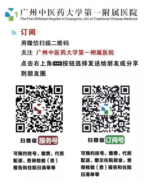 花胶干贝炖瘦肉功效 花胶干贝炖瘦肉功效与禁忌