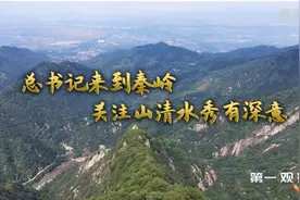 第一观察 | 鉴往知来：总书记来到秦岭，关注山清水秀有深意图片