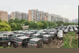 南京行洪河堤变停车场！上百辆新车违停离河道仅数米图片