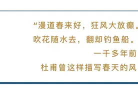 思客问答｜北京的春日，为何多“风”狂？图片