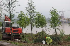 临海市水利局全力推进灵江河道清障图片