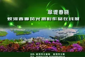 蛟河市《翠堤春晓》春季风光摄影作品网络在线展图片