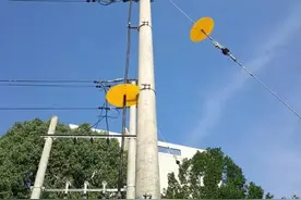 “小松鼠，电线杆不能爬！”余杭装了422套“绝缘挡鼠器”护松鼠、保供电图片