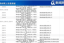 和达首进即墨、万科等一齐出手拿地！今日即墨12宗地块拍出24.63亿图片