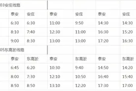 泰安这些城乡公交将陆续恢复运行 附具体线路及时间图片