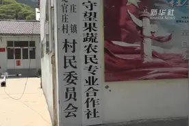 支部领办合作社 果农“松绑”变股东视频封面