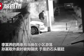 太冲动！男子被狗骚扰扔石头驱赶，竟遭狗主人打倒在绿化带用刀捅死……图片