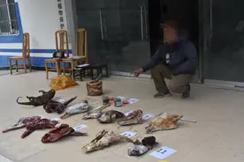 借“保护”为名持枪猎杀野生动物，四川一猎犬团队8人被抓图片