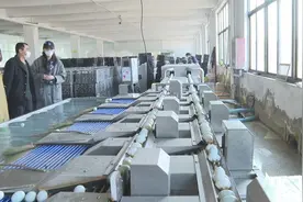 合作社+电商+贫困户经营模式！威海文登海鸭蛋“变身”致富“金蛋”图片
