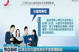 江西出台公益性岗位开放管理新政视频封面
