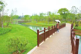 安庆市石化防护绿道完成第一个关键节点，免锣巷公园建成开放图片