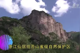 浙江仙居括苍山发现珍稀濒危野生动物“中华斑羚”视频封面