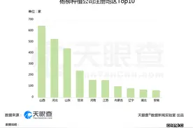 杨柳絮撒欢季节到！41家疫苗企业+118件防飞絮专利 治理仍任重道远图片