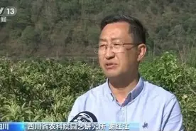 四川凉山脱贫增收路上的“农科印记”图片