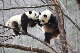 这就是秦岭图片