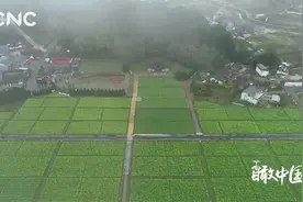 瞰中国|春来花意浓视频封面