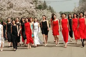 漫步中山公园：那些年关于赏樱的趣事 属于自己的春天往事图片