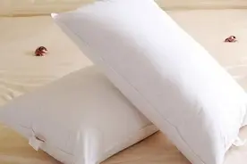 你的美梦有它陪伴，却不知道它竟然这么脏？！图片