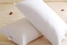 你的美梦有它陪伴，却不知道它竟然这么脏？！图片