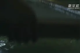 开化纸：从百年技艺中走来视频封面