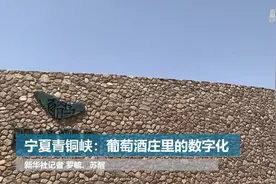 宁夏青铜峡：葡萄酒庄里的数字化视频封面