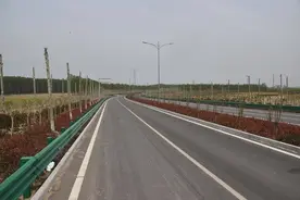 记者实探，一起“飞”阅菏泽美丽公路图片
