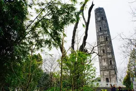 上海“比萨斜塔”历经近千年风雨，修缮将遵循最小干预原则图片