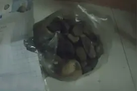 天降“求命”飞石砸中人 警方排查5小时后发现是恶作剧图片