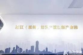 不出园区，把专利做成项目！浙江（杭州）知识产权创新产业园今天开园图片