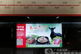 马山美食及旅游扶贫广告亮相南宁地铁2号线图片