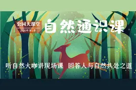 在武汉，“月光宝盒”的名字叫龟山图片