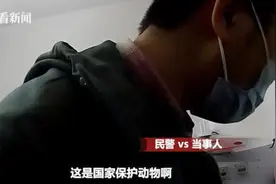 在家养乌龟 没想到养到了国家“一级”保护动物图片