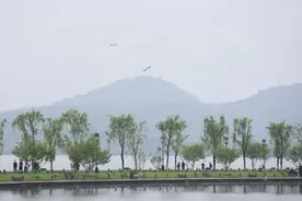 猝不及防！杭州气温马上“坐火箭”，这样的4月底多年未见图片