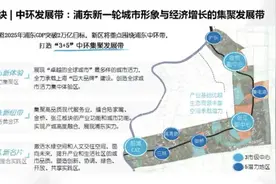 上海举办首场土地宣介会，浦东静安宝山嘉定50幅地块待出让图片