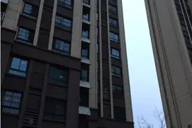 合肥“从14楼扔下2岁儿子致死”当事母亲被批捕，哭诉后悔图片