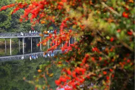 到凤龙湾小镇感受山花烂漫好时节图片