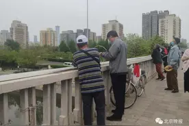 行人、汽车紧急避让，人行道、停车场哪是你放风筝的地方图片